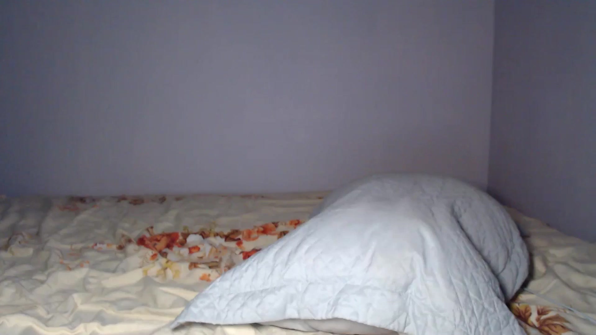 Gallery image thumbnail from Sleepych3w's myfreecams stream on, 04/25/2025, 06:10 image 13 of 20