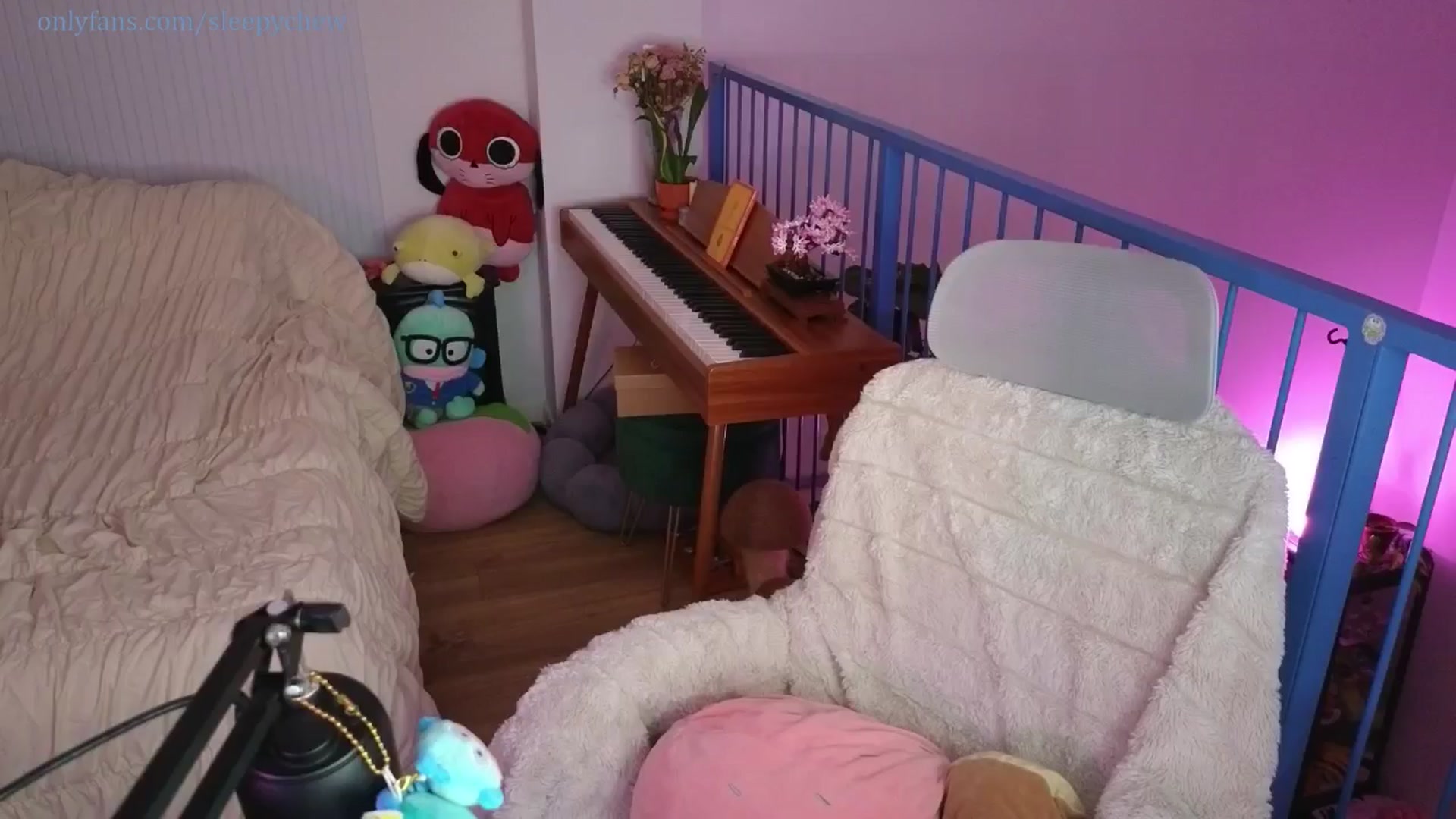 Gallery image thumbnail from Sleepych3w's myfreecams stream on, 07/19/2025, 07:27 image 18 of 20