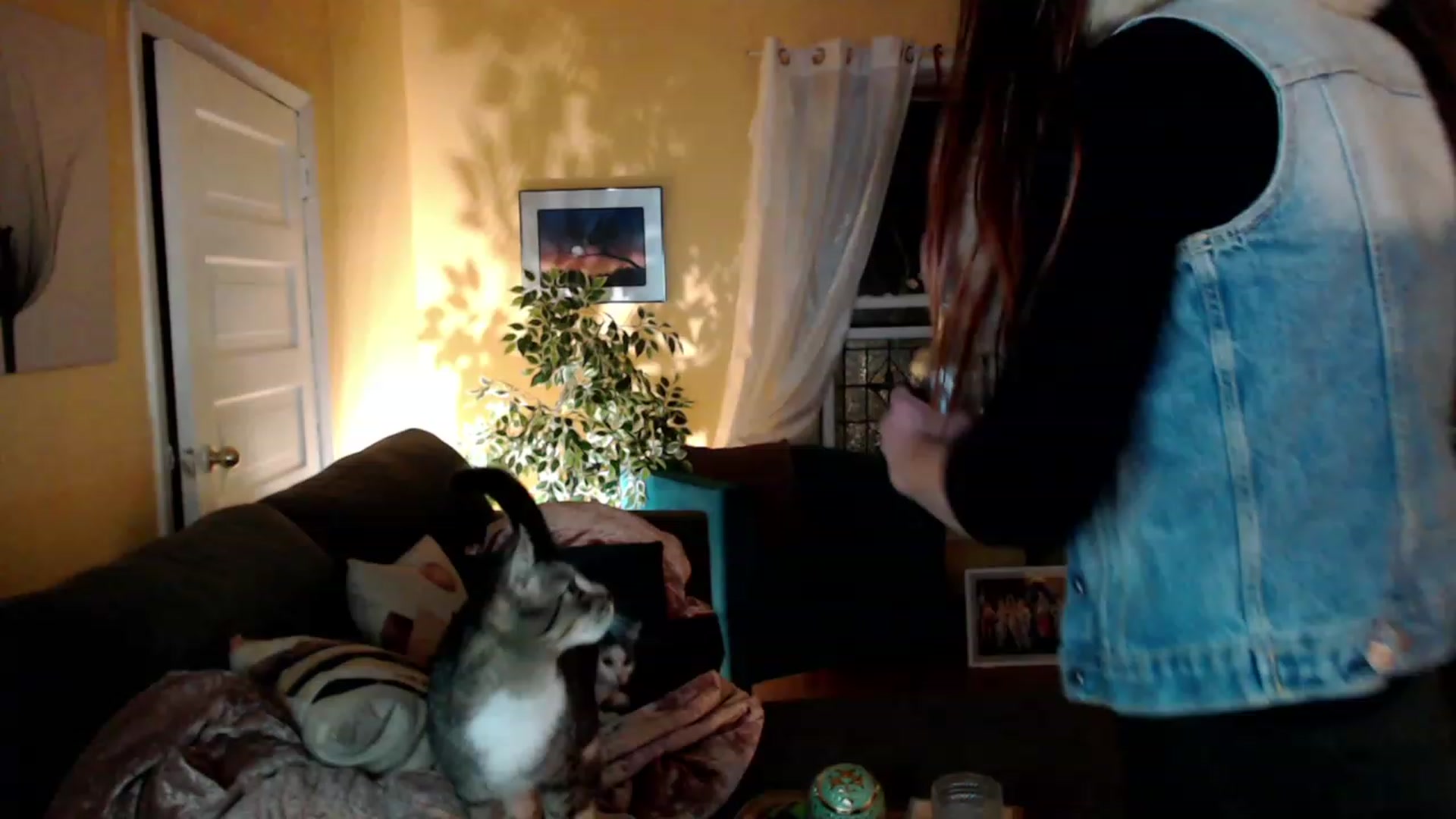 Gallery image thumbnail from SlimSadie's myfreecams stream on, 12/04/2022, 09:05 image 2 of 20