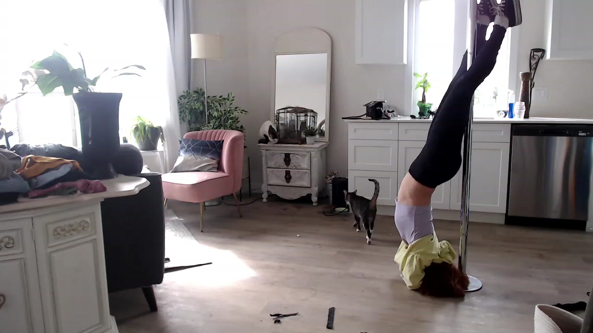 Gallery image thumbnail from SlimSadie's myfreecams stream on, 05/03/2023, 14:12 image 4 of 20
