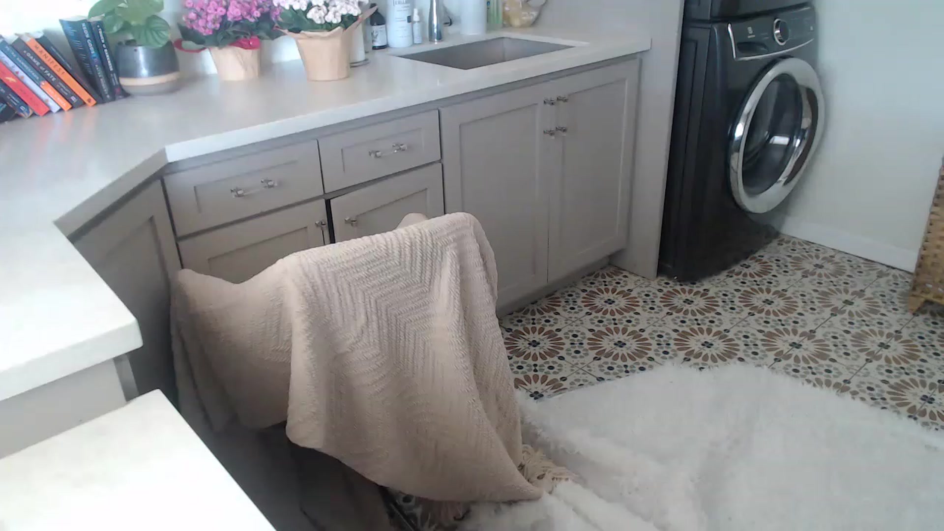 Gallery image thumbnail from SlipperyP_'s myfreecams stream on, 04/18/2023, 21:25 image 10 of 20