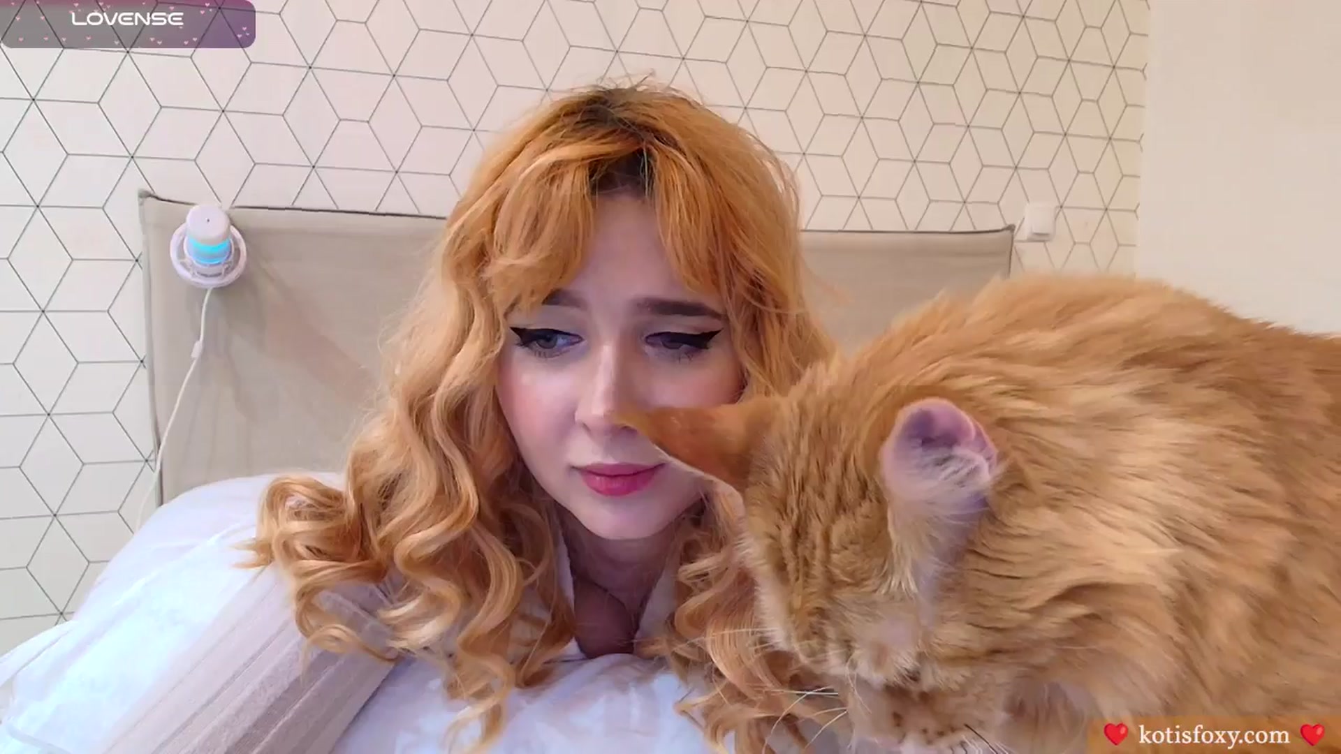 Gallery image thumbnail from Slutty_Kat's myfreecams stream on, 11/09/2025, 01:14 image 5 of 20