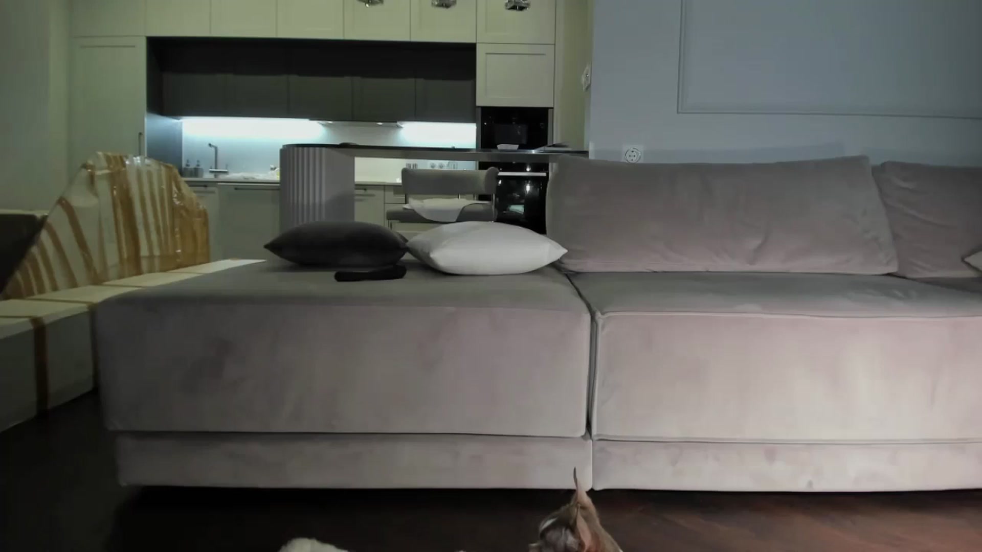 Gallery image thumbnail from Smart_Cat's myfreecams stream on, 07/30/2024, 02:35 image 11 of 20