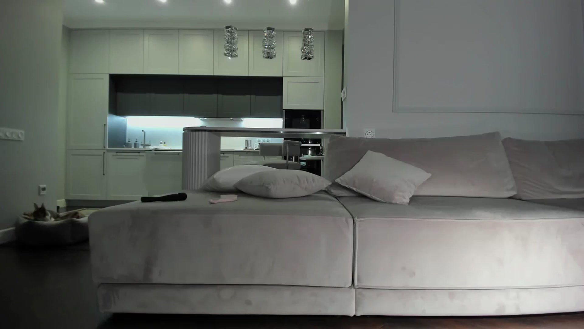 Gallery image thumbnail from Smart_Cat's myfreecams stream on, 08/12/2024, 24:00 image 4 of 20