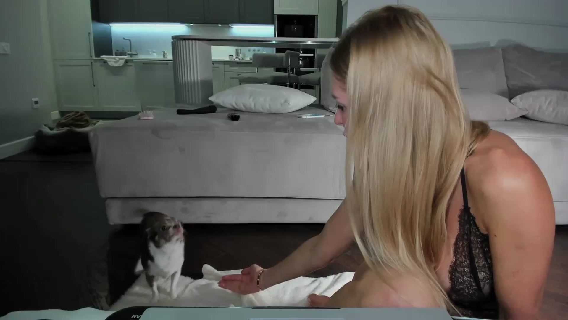Gallery image thumbnail from Smart_Cat's myfreecams stream on, 09/18/2024, 02:53 image 20 of 20