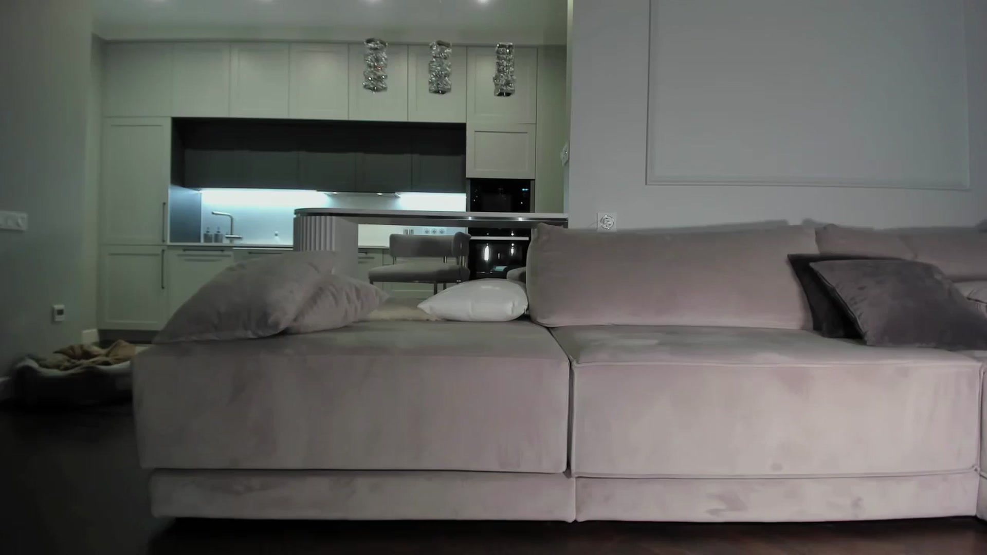 Gallery image thumbnail from Smart_Cat's myfreecams stream on, 11/14/2024, 03:13 image 7 of 20