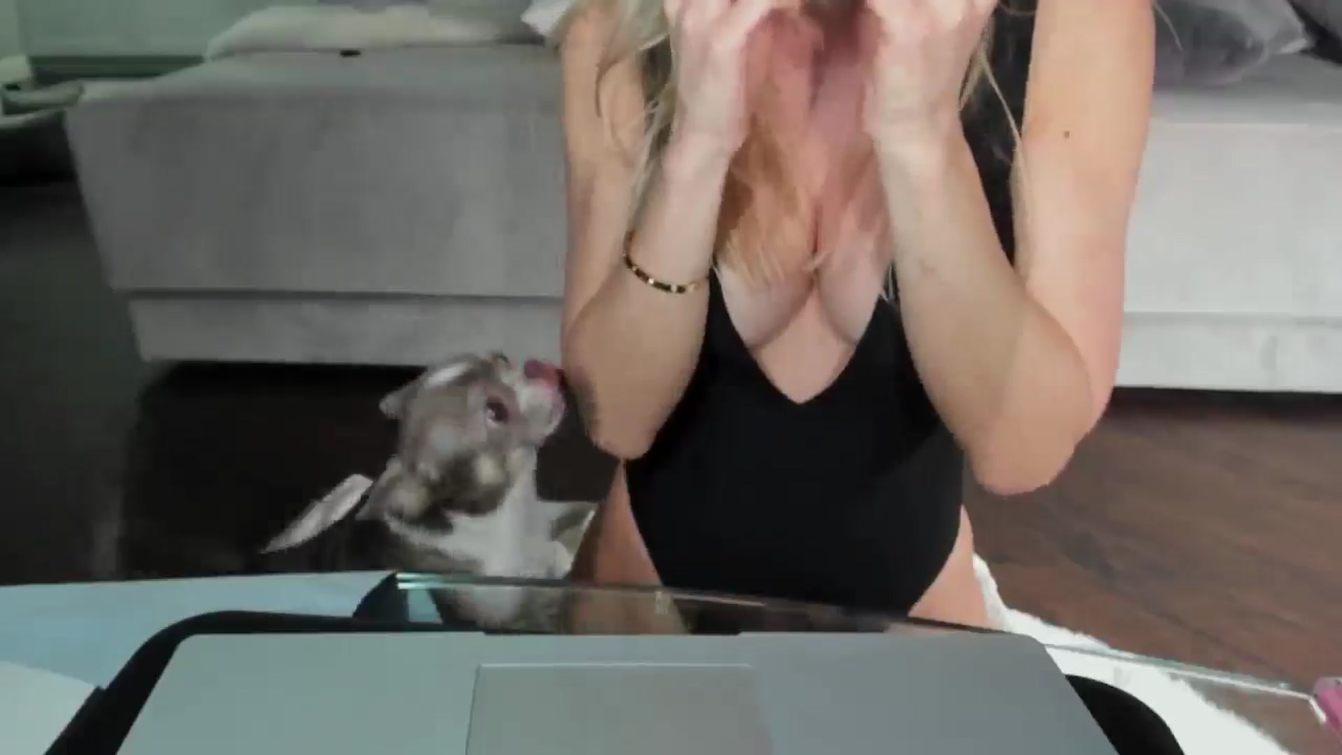 Gallery image thumbnail from Smart_Cat's myfreecams stream on, 01/17/2025, 03:10 image 17 of 20