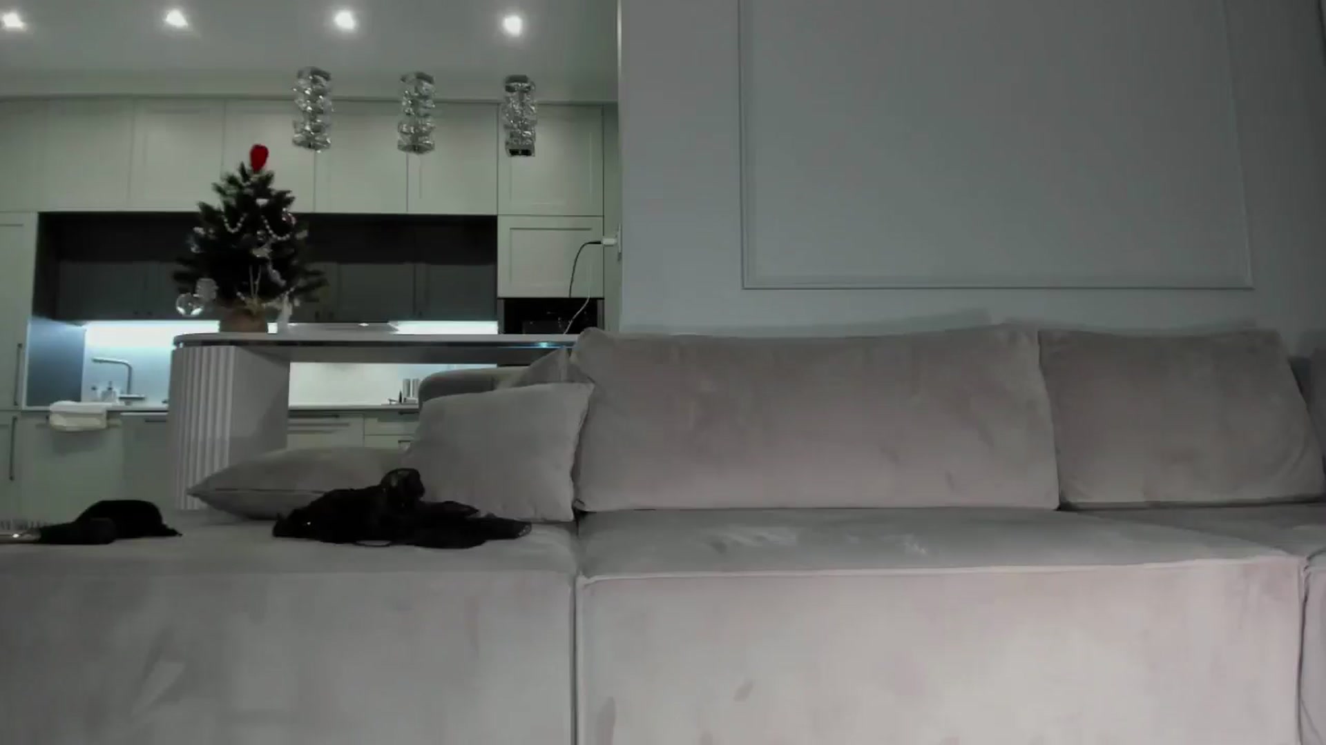 Gallery image thumbnail from Smart_Cat's myfreecams stream on, 12/29/2025, 24:02 image 5 of 20