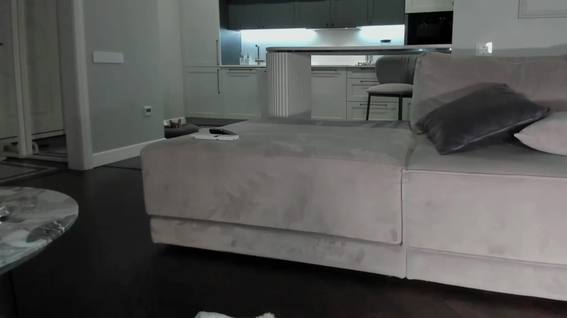 Gallery image thumbnail from Smart_Cat's myfreecams stream on, 06/27/2026, 02:54 image 1 of 20