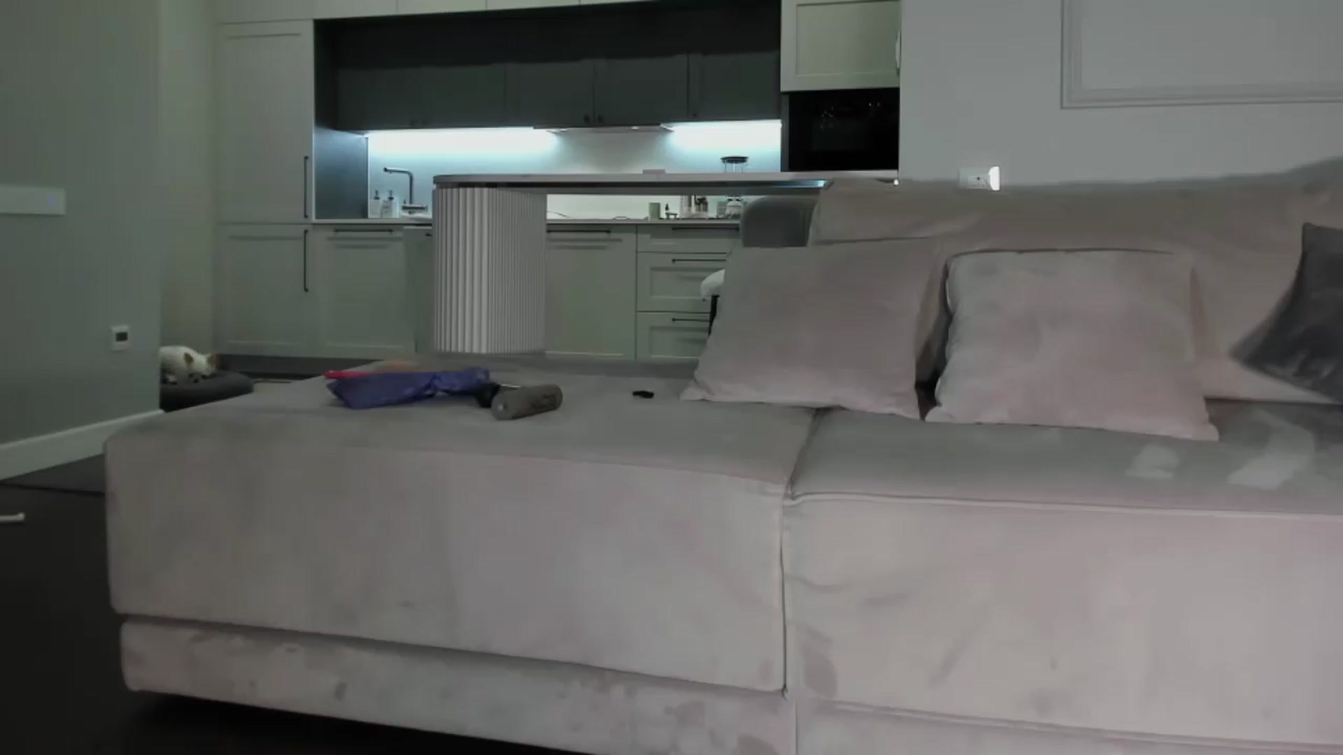 Gallery image thumbnail from Smart_Cat's myfreecams stream on, 07/02/2026, 24:34 image 4 of 20