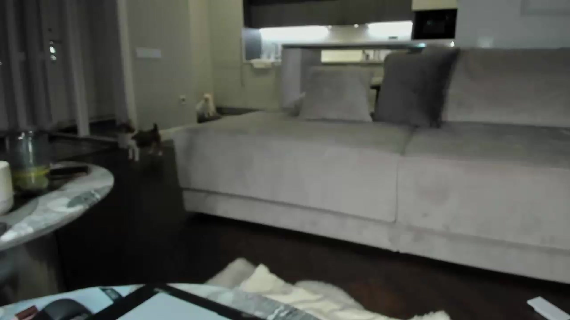 Gallery image thumbnail from Smart_Cat's myfreecams stream on, 07/08/2026, 01:48 image 19 of 20
