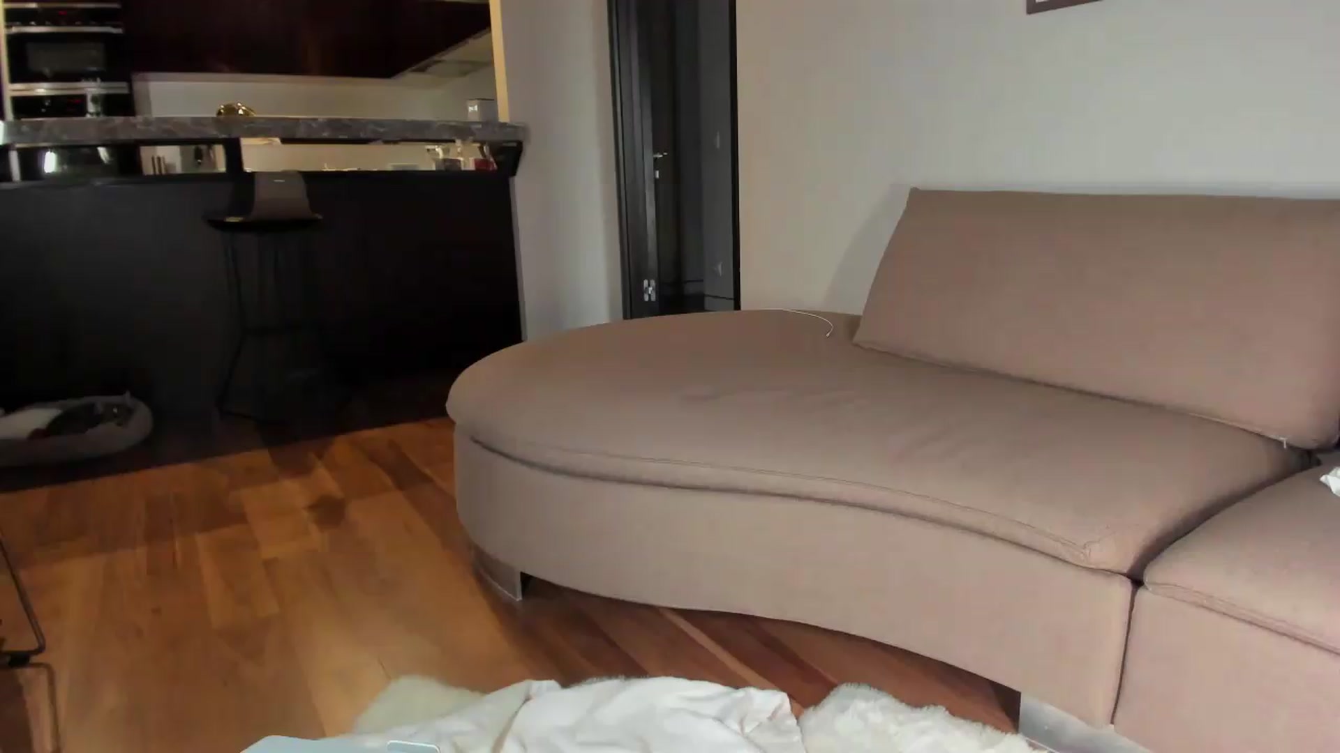 Gallery image thumbnail from Smart_Cat's myfreecams stream on, 07/19/2026, 01:20 image 20 of 20