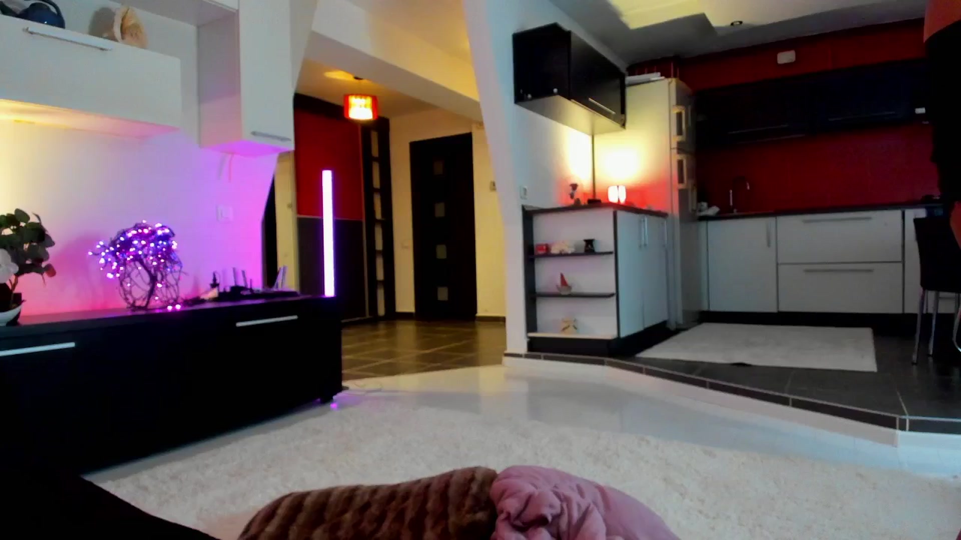 Gallery image thumbnail from SmileyTinaa's myfreecams stream on, 10/03/2025, 22:23 image 8 of 20