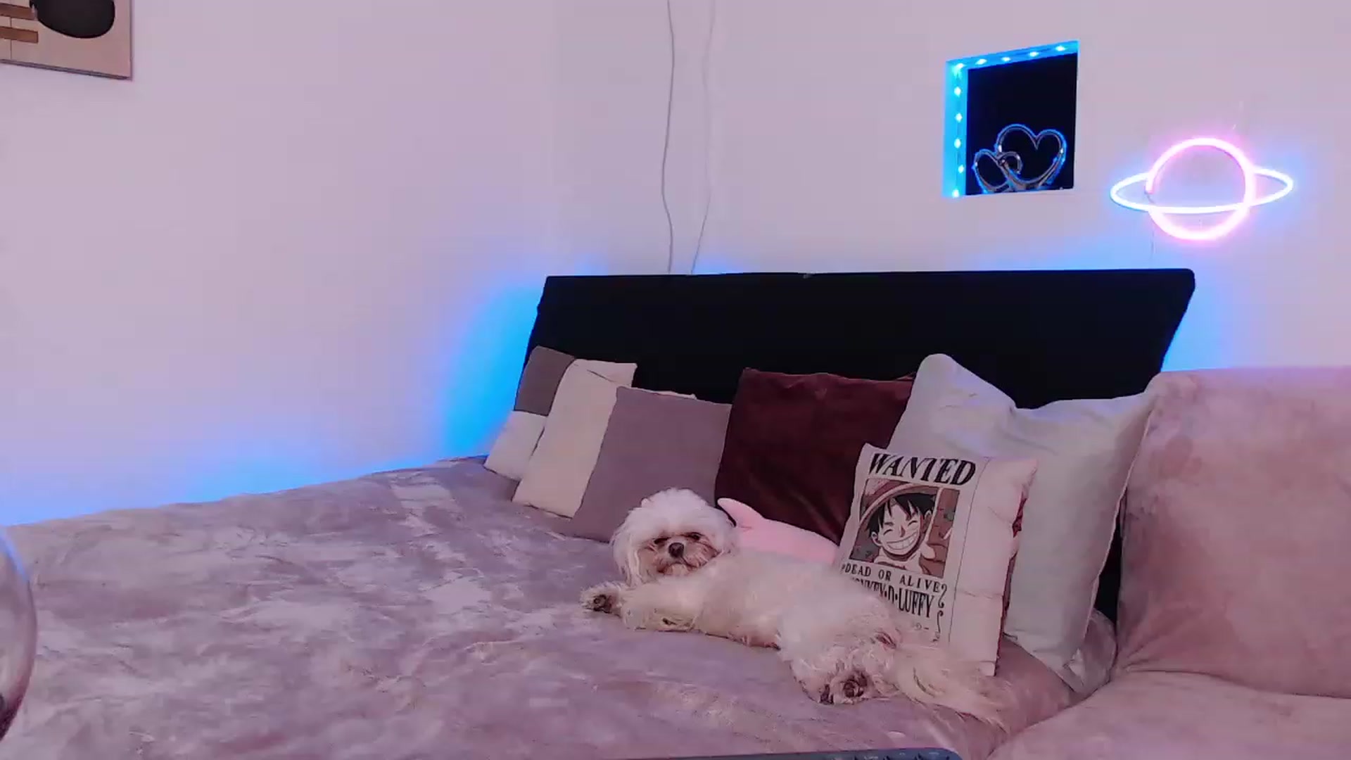 Gallery image thumbnail from Smoky_Mercury's myfreecams stream on, 04/28/2023, 02:55 image 8 of 20