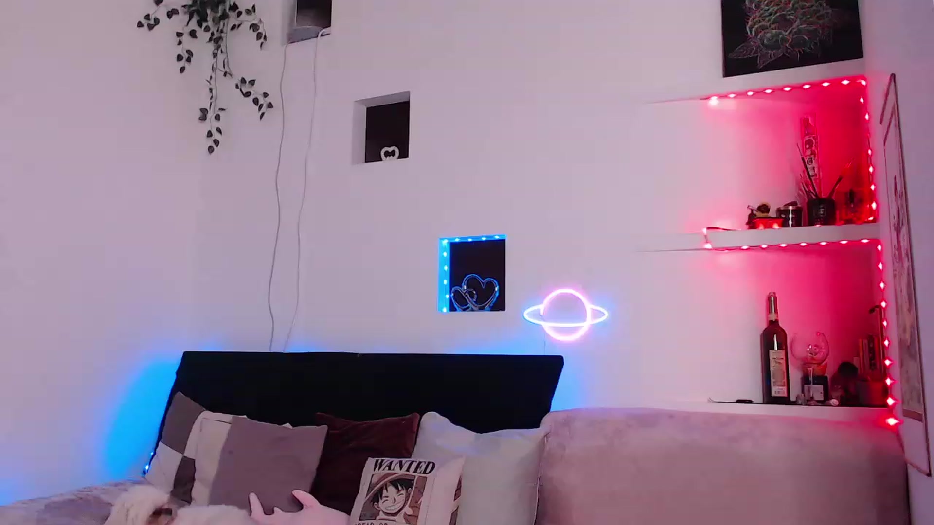 Gallery image thumbnail from Smoky_Mercury's myfreecams stream on, 05/01/2023, 04:41 image 6 of 20