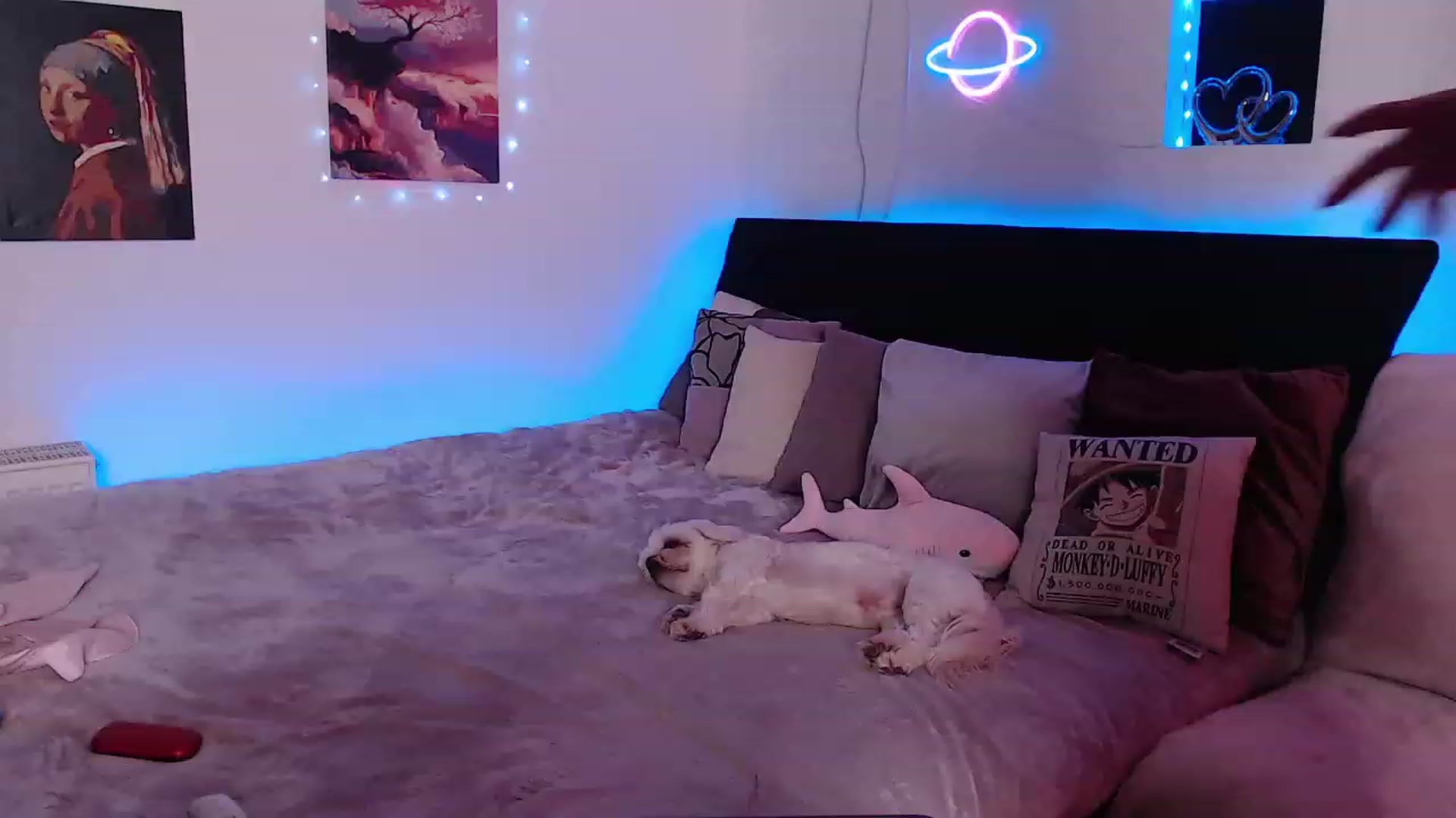 Gallery image thumbnail from Smoky_Mercury's myfreecams stream on, 06/04/2023, 02:12 image 13 of 20