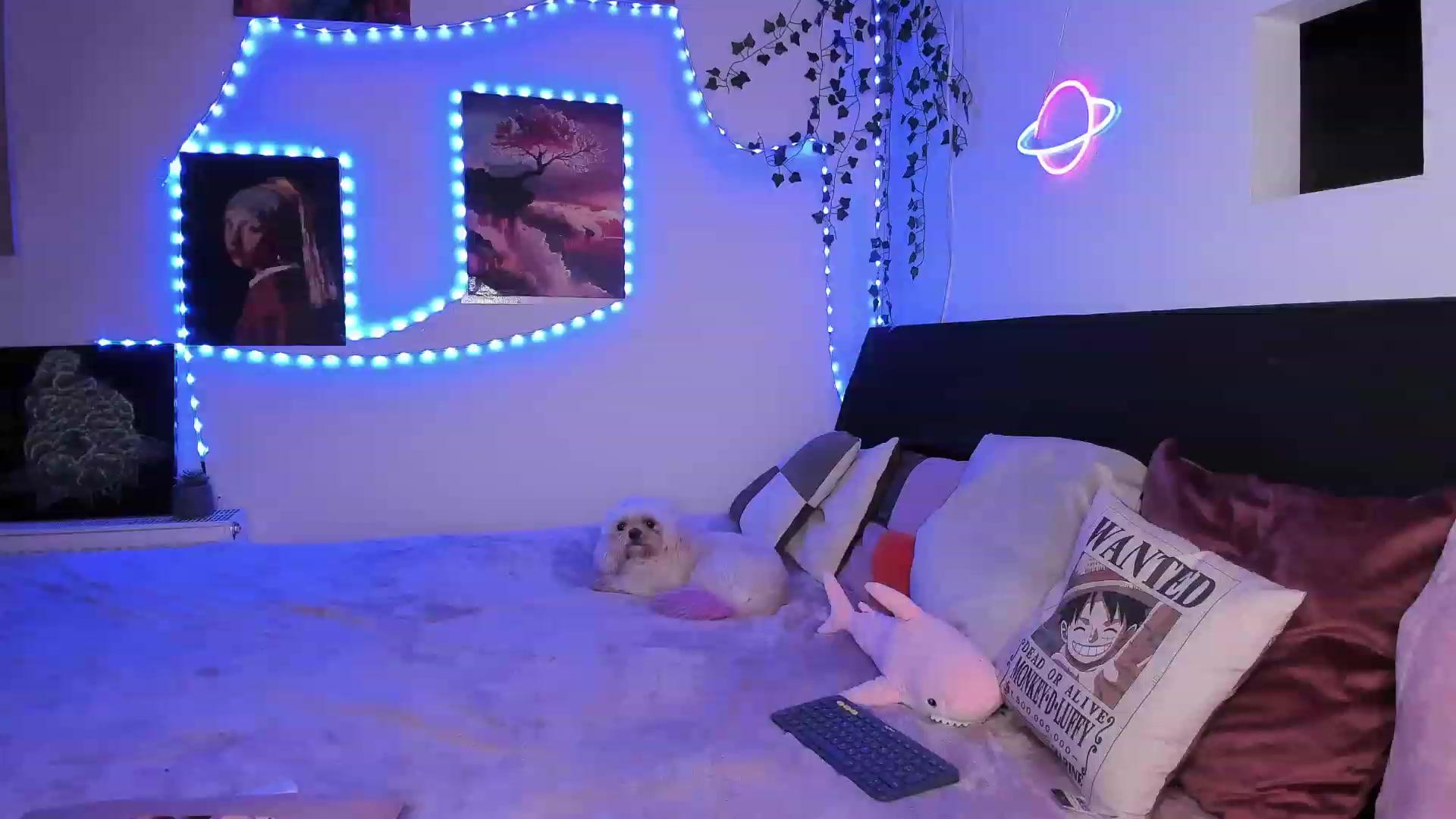 Gallery image thumbnail from Smoky_Mercury's myfreecams stream on, 08/04/2023, 02:00 image 12 of 20
