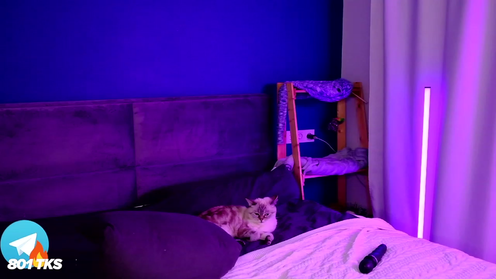 Gallery image thumbnail from SmthWrong's myfreecams stream on, 02/21/2024, 02:33 image 1 of 20