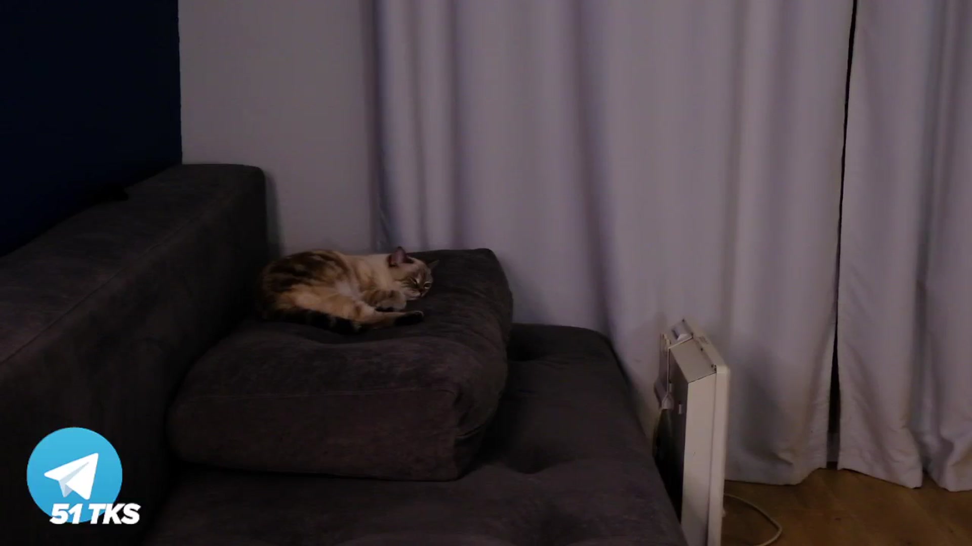 Gallery image thumbnail from SmthWrong's myfreecams stream on, 01/22/2025, 05:43 image 12 of 20