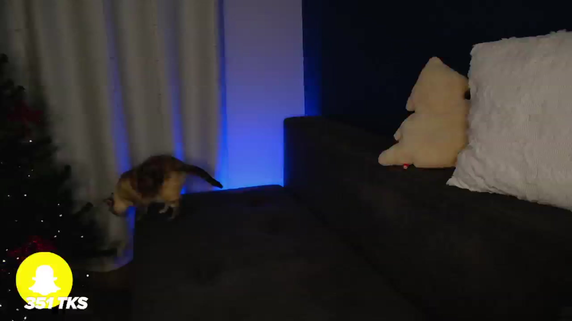 Gallery image thumbnail from SmthWrong's myfreecams stream on, 12/24/2025, 01:14 image 6 of 20