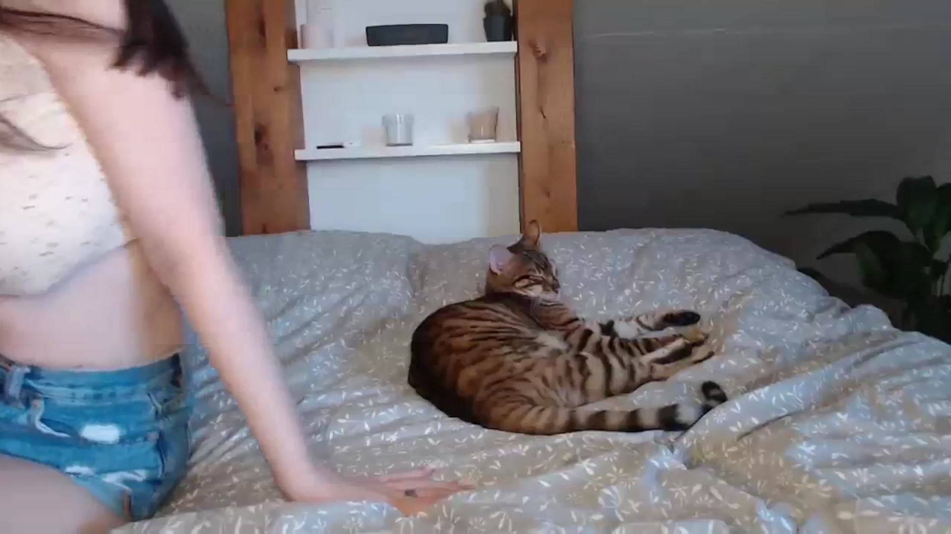 Gallery image thumbnail from Snake_lady's myfreecams stream on, 09/29/2023, 16:56 image 5 of 20