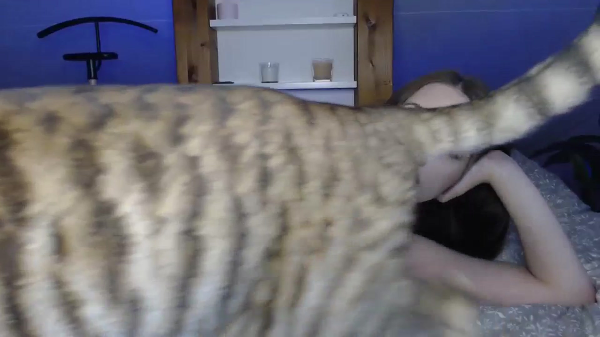 Gallery image thumbnail from Snake_lady's myfreecams stream on, 10/24/2023, 15:56 image 6 of 20