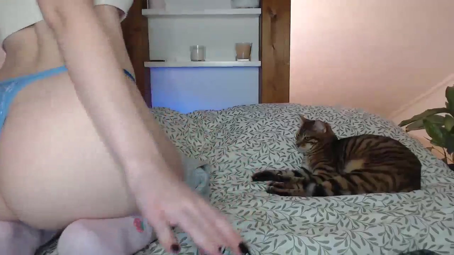 Gallery image thumbnail from Snake_lady's myfreecams stream on, 11/11/2023, 17:18 image 19 of 20