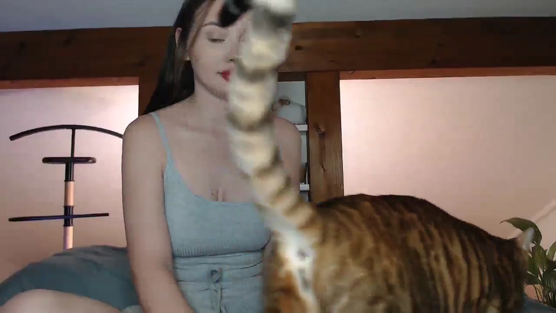 Gallery image thumbnail from Snake_lady's myfreecams stream on, 11/27/2023, 17:15 image 2 of 20