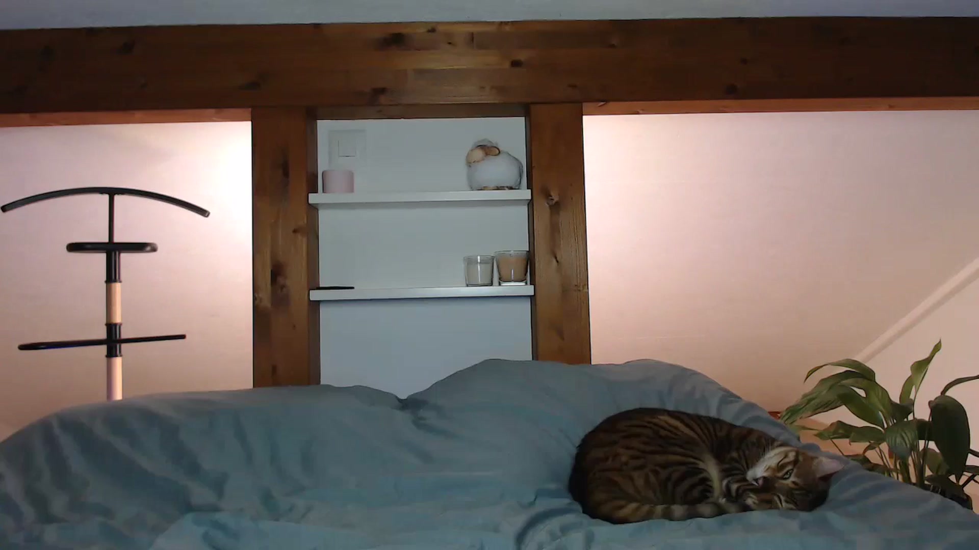 Gallery image thumbnail from Snake_lady's myfreecams stream on, 12/23/2023, 17:05 image 18 of 20
