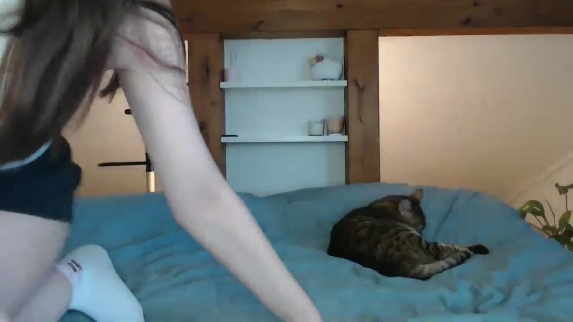 Gallery image thumbnail from Snake_lady's myfreecams stream on, 06/02/2024, 16:04 image 18 of 20