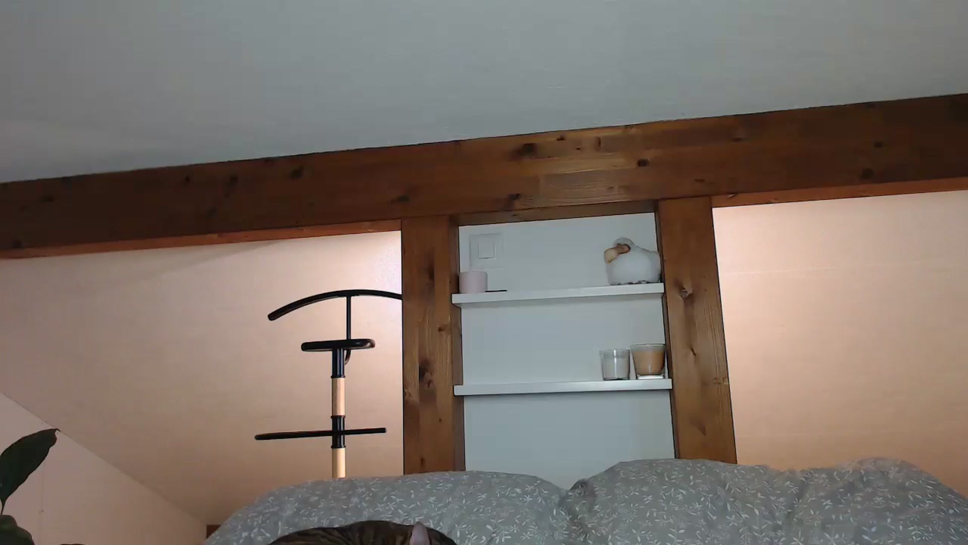 Gallery image thumbnail from Snake_lady's myfreecams stream on, 06/11/2024, 18:13 image 7 of 20