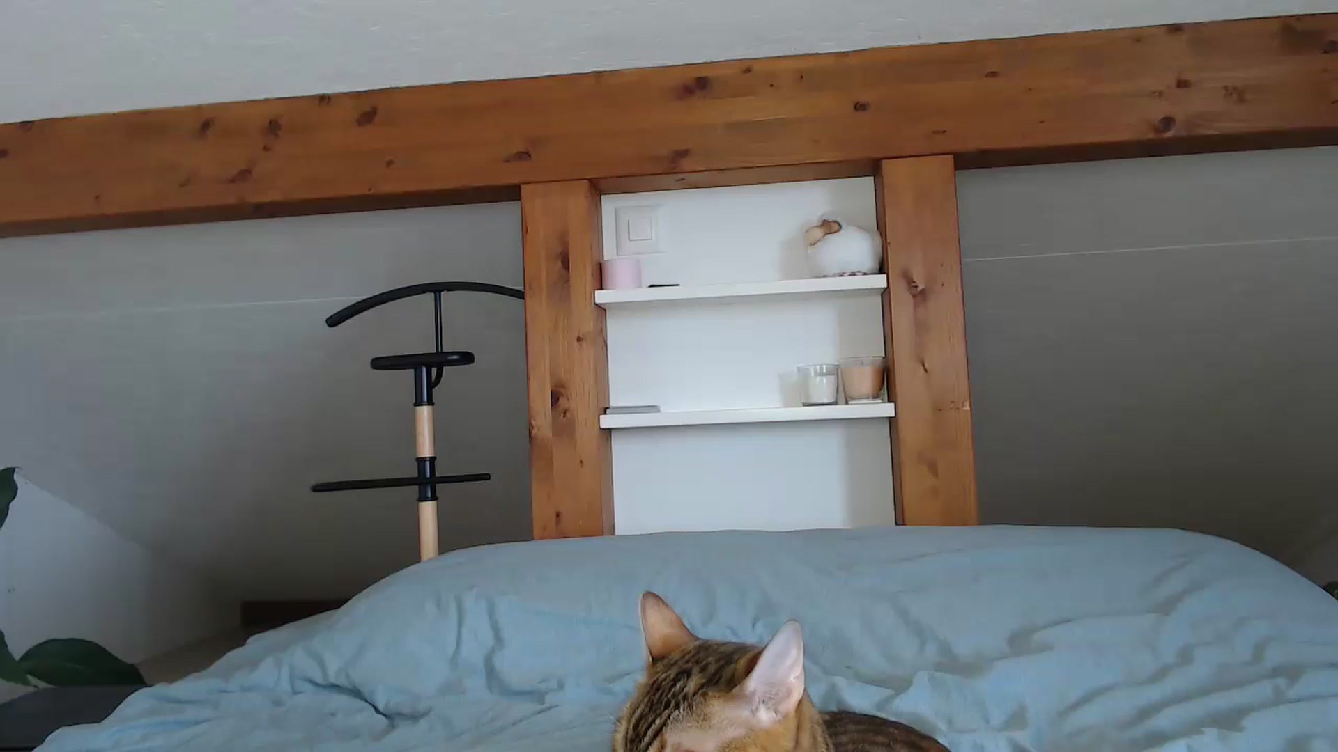 Gallery image thumbnail from Snake_lady's myfreecams stream on, 07/05/2024, 17:15 image 13 of 20