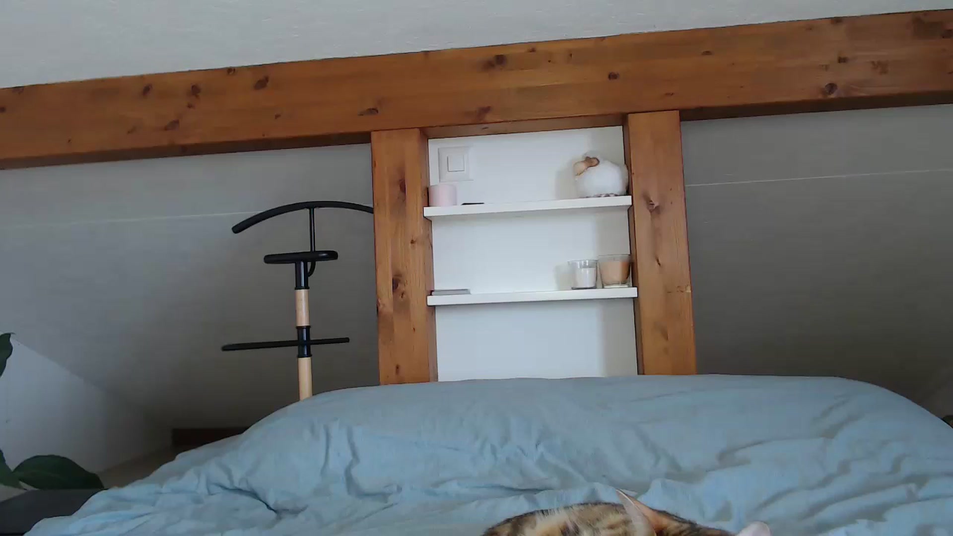 Gallery image thumbnail from Snake_lady's myfreecams stream on, 07/05/2024, 17:15 image 12 of 20