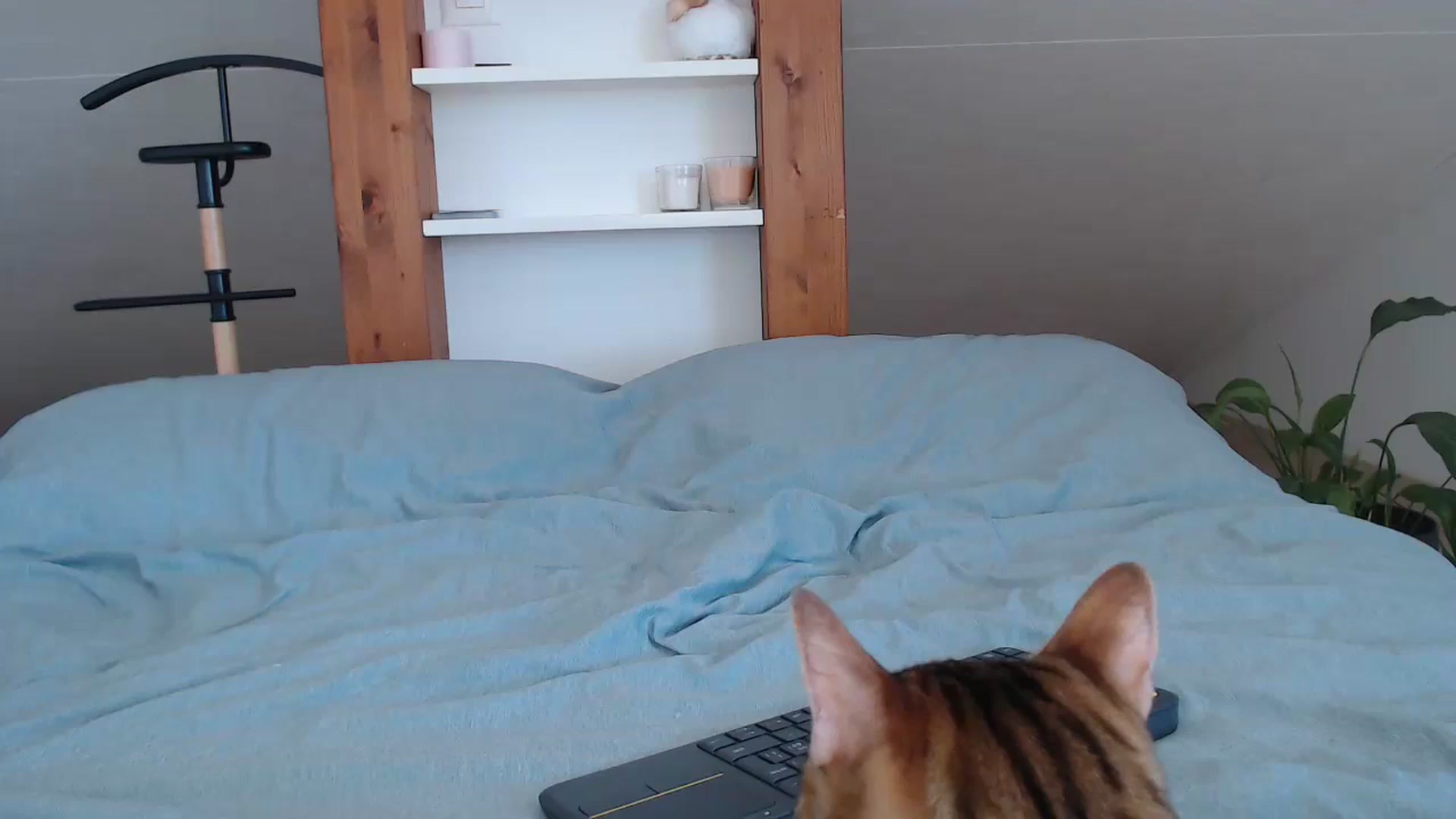 Gallery image thumbnail from Snake_lady's myfreecams stream on, 07/08/2024, 16:35 image 15 of 20