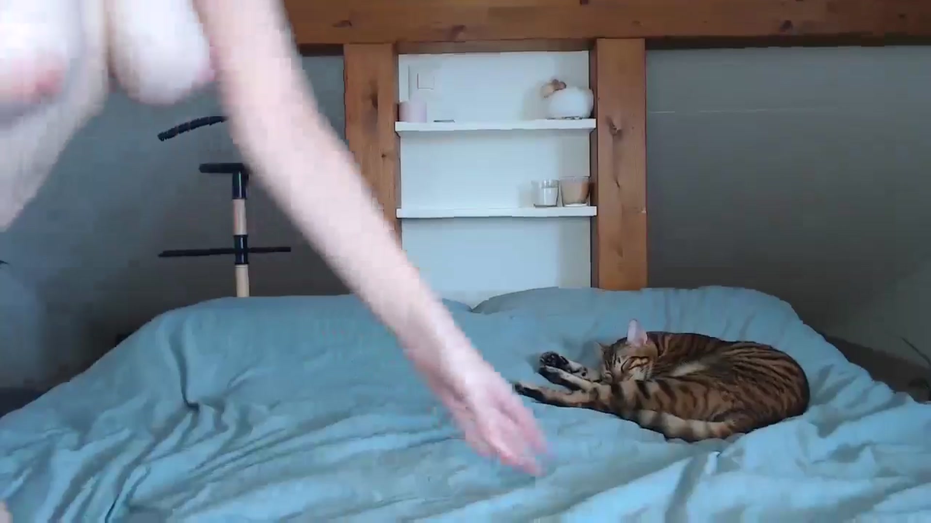 Gallery image thumbnail from Snake_lady's myfreecams stream on, 08/25/2024, 15:34 image 8 of 20