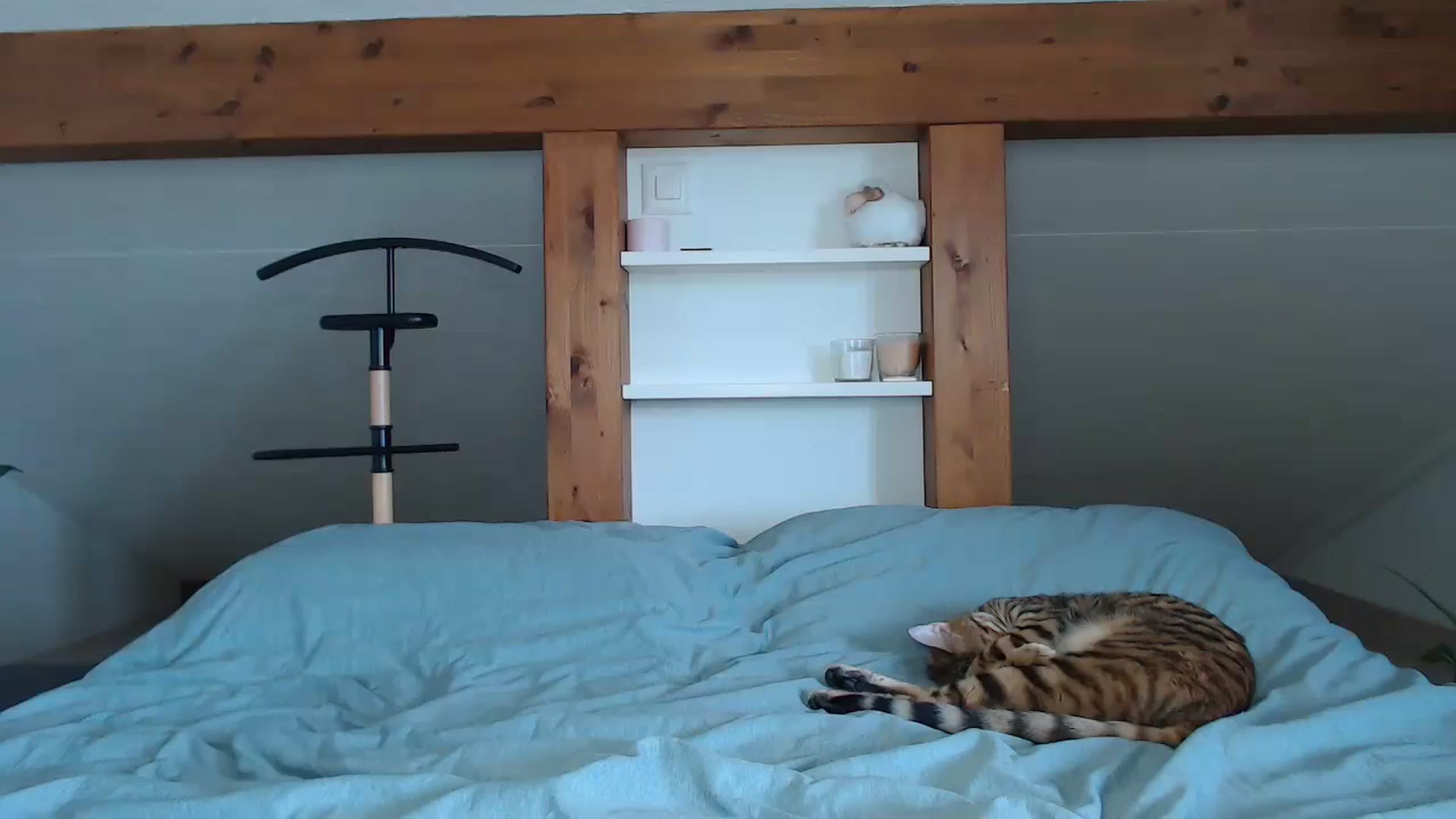 Gallery image thumbnail from Snake_lady's myfreecams stream on, 08/25/2024, 15:34 image 13 of 20
