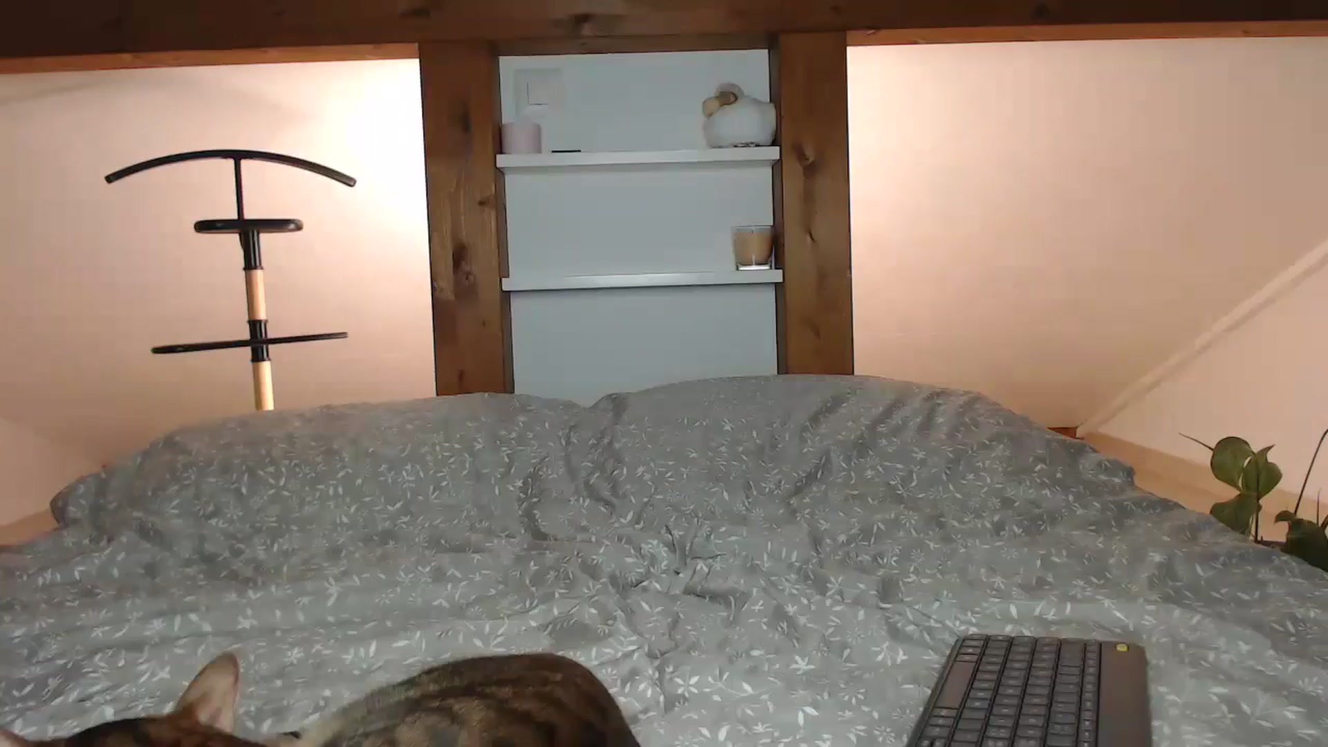 Gallery image thumbnail from Snake_lady's myfreecams stream on, 09/26/2024, 17:08 image 16 of 20