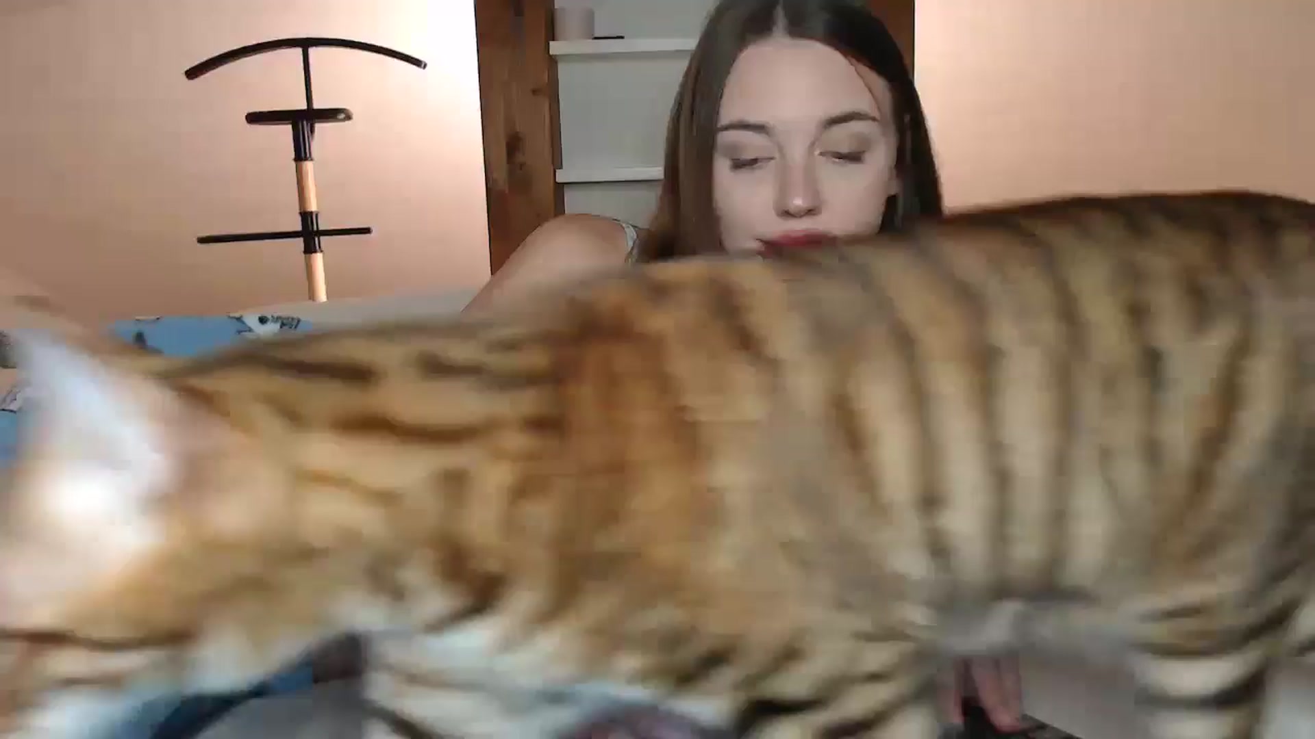 Gallery image thumbnail from Snake_lady's myfreecams stream on, 10/31/2024, 17:07 image 1 of 20