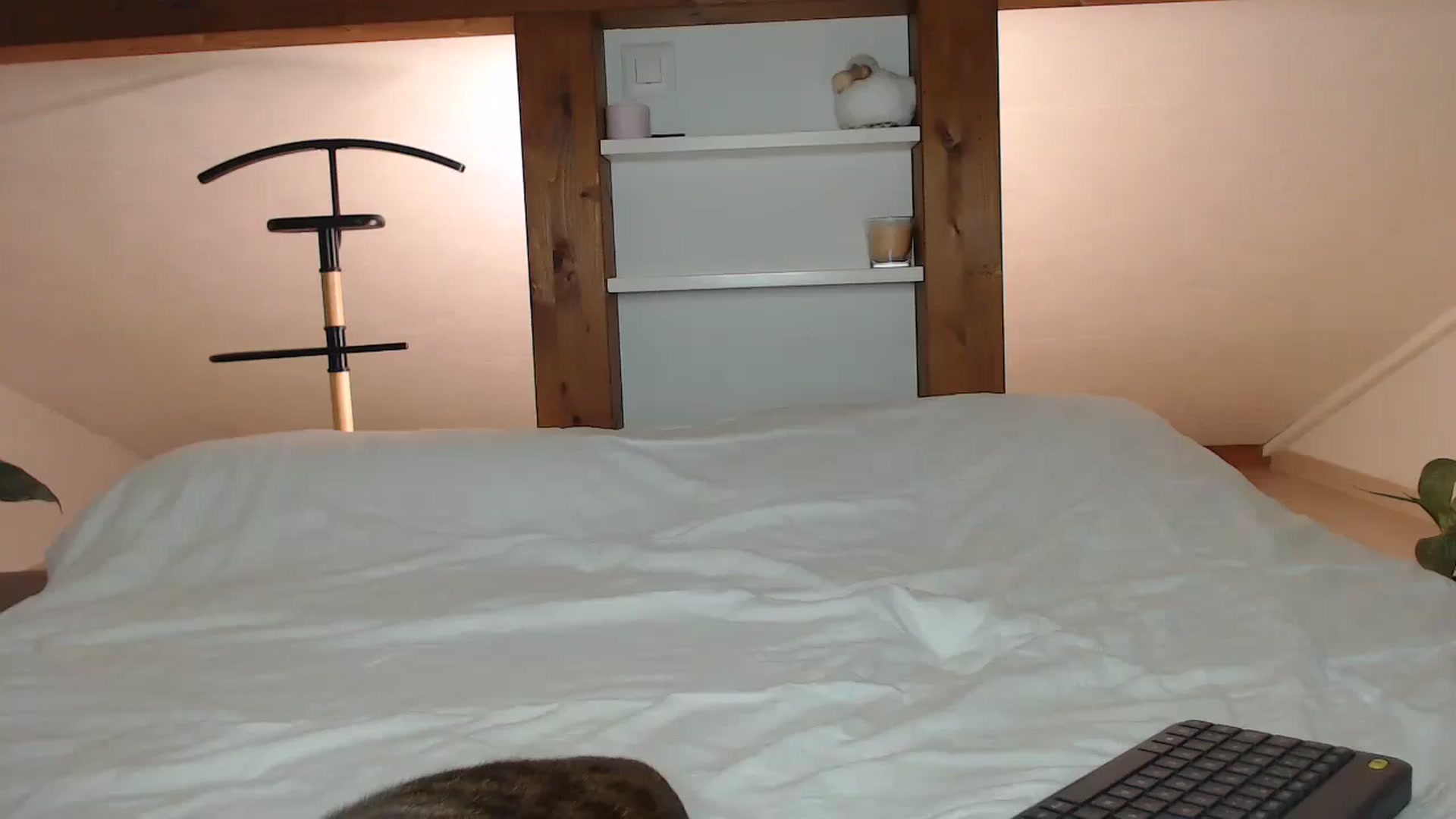 Gallery image thumbnail from Snake_lady's myfreecams stream on, 11/03/2024, 17:54 image 11 of 20