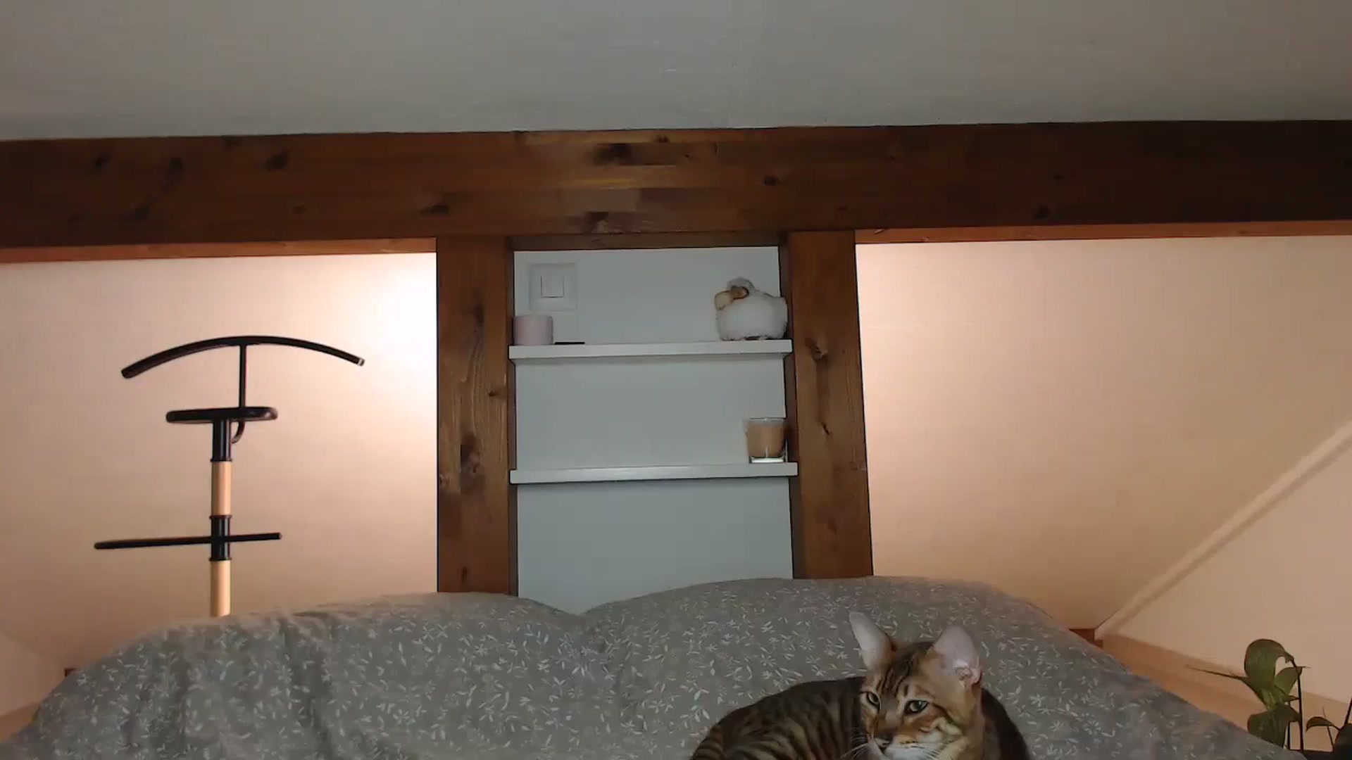 Gallery image thumbnail from Snake_lady's myfreecams stream on, 11/07/2024, 16:14 image 11 of 20