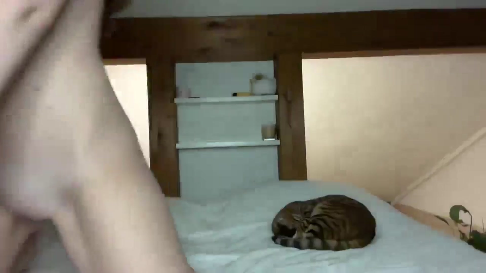 Gallery image thumbnail from Snake_lady's myfreecams stream on, 12/26/2024, 17:31 image 10 of 20