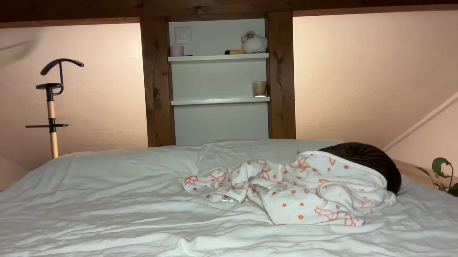 Gallery image thumbnail from Snake_lady's myfreecams stream on, 12/29/2024, 19:07 image 19 of 20