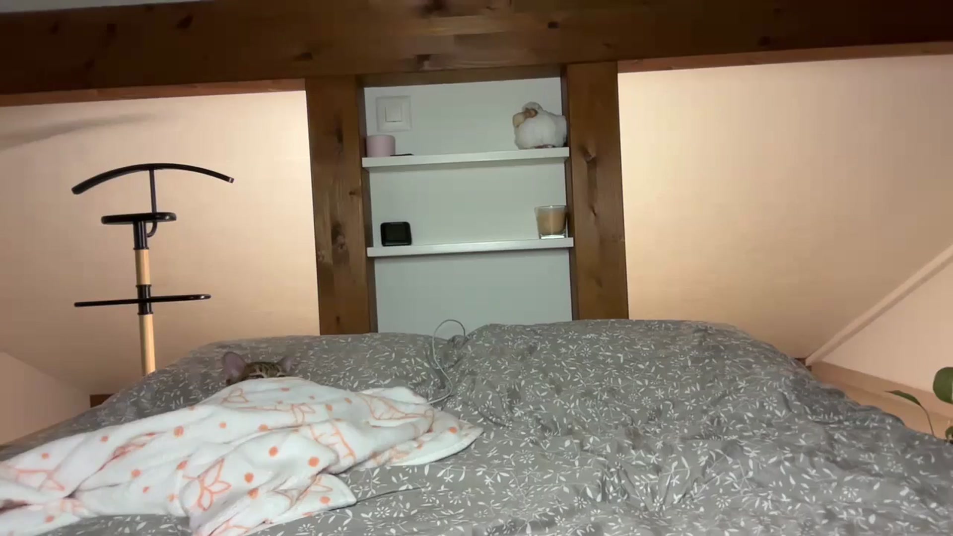 Gallery image thumbnail from Snake_lady's myfreecams stream on, 01/26/2025, 18:22 image 11 of 20