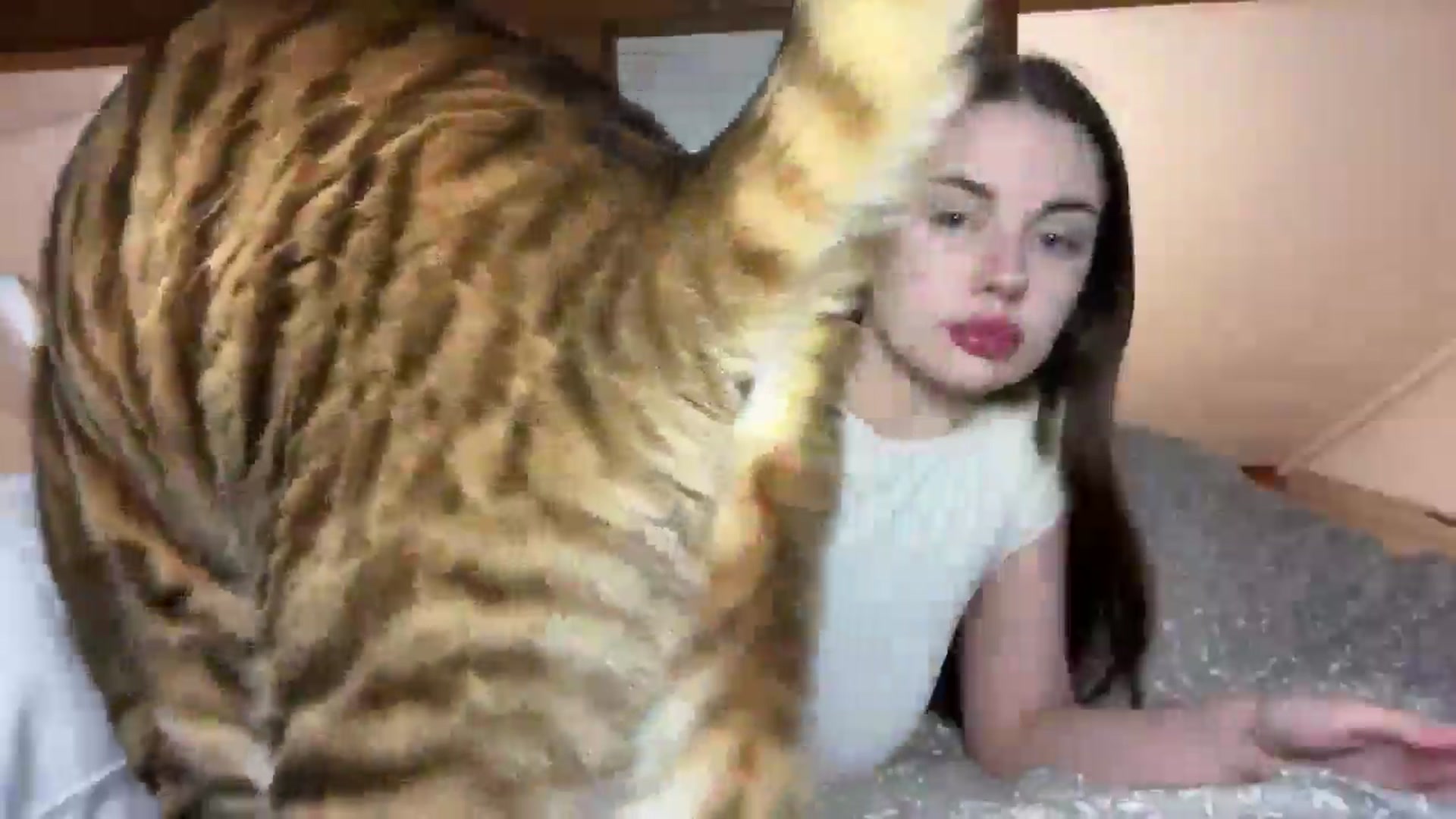 Gallery image thumbnail from Snake_lady's myfreecams stream on, 02/20/2025, 17:48 image 5 of 20