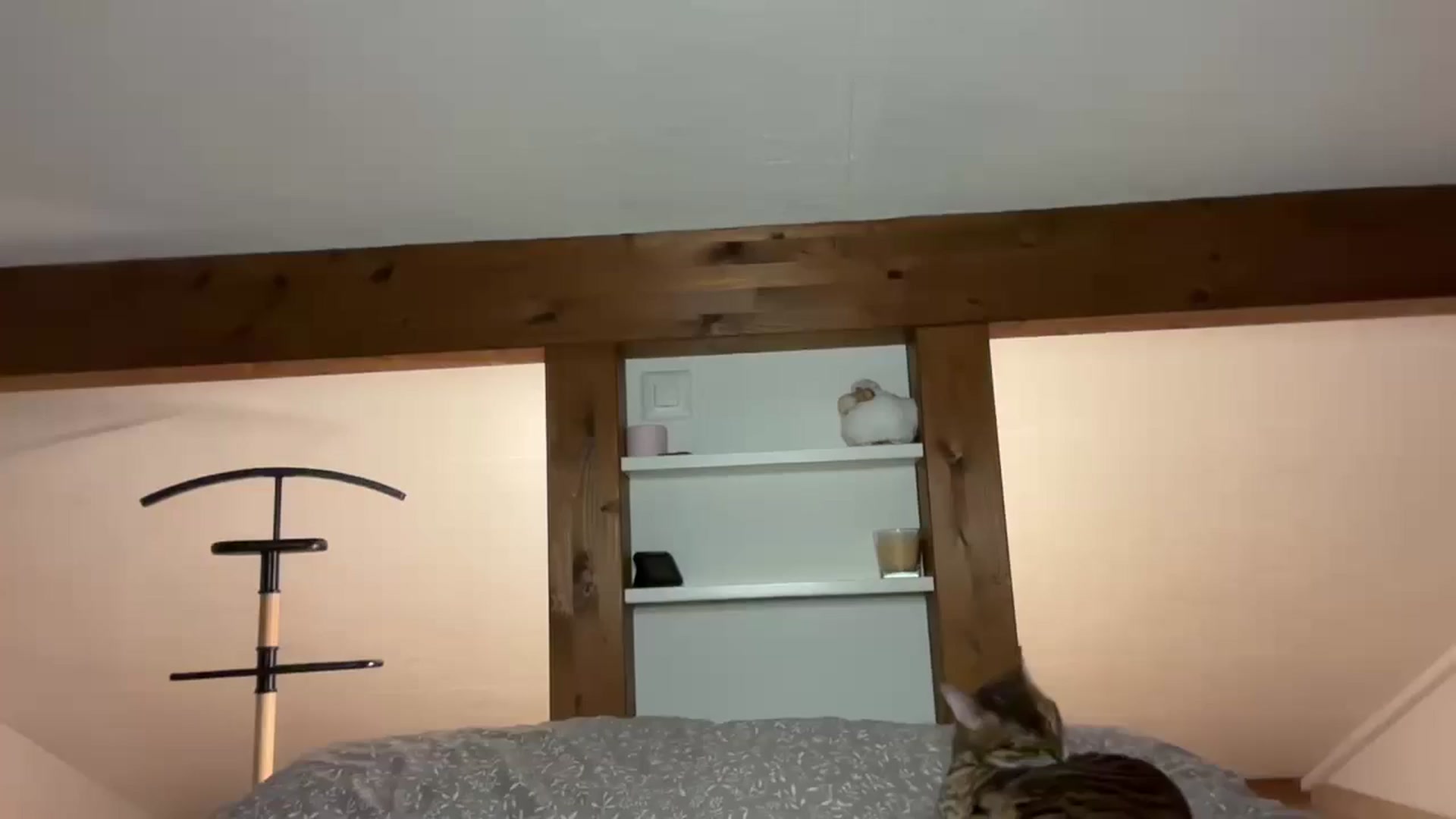 Gallery image thumbnail from Snake_lady's myfreecams stream on, 02/20/2025, 17:48 image 12 of 20
