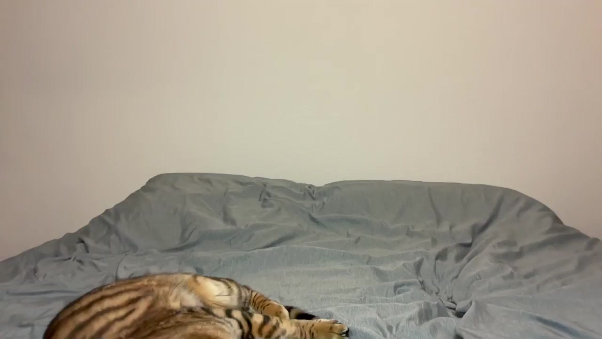 Gallery image thumbnail from Snake_lady's myfreecams stream on, 11/24/2025, 18:43 image 9 of 20
