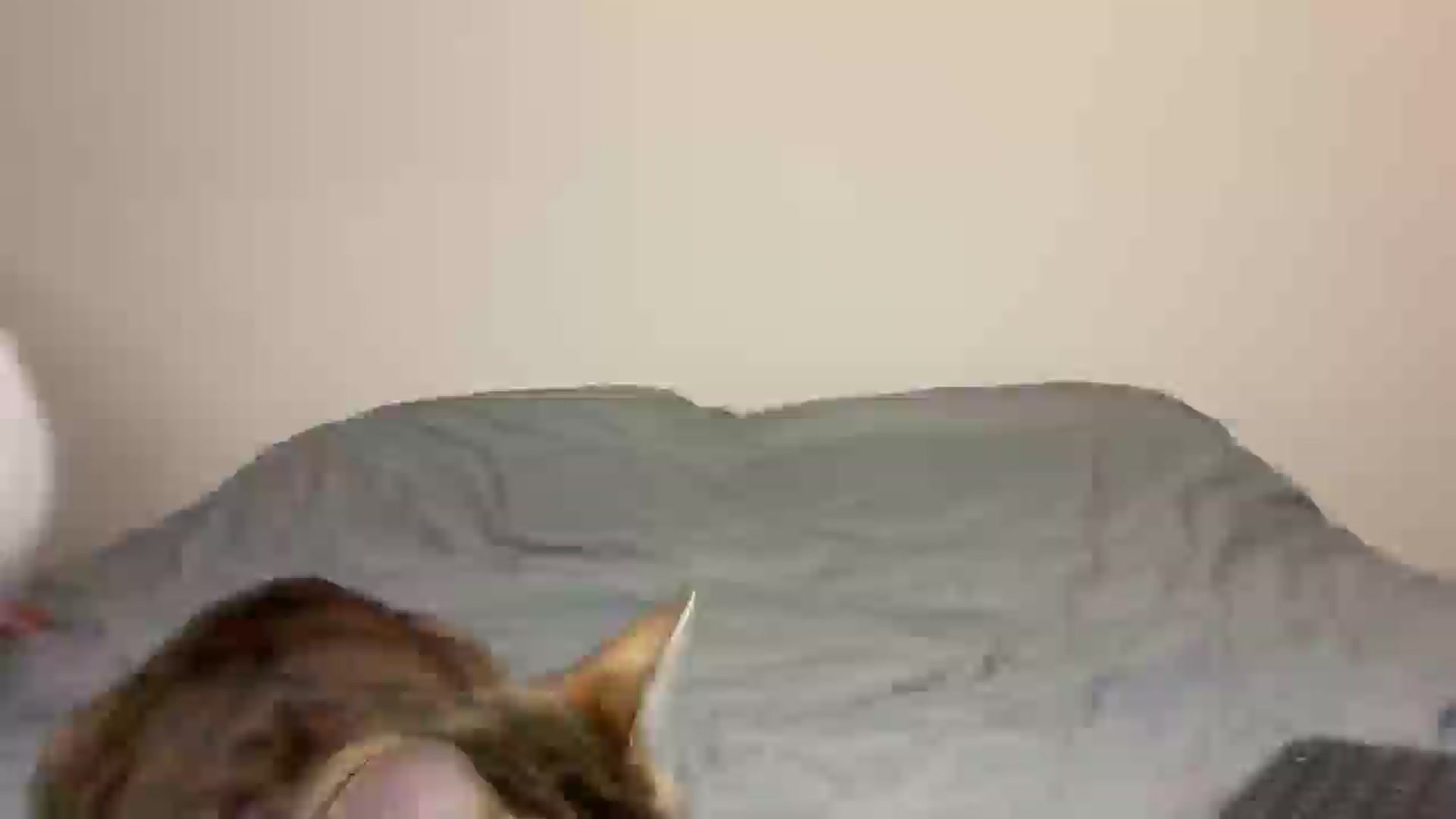 Gallery image thumbnail from Snake_lady's myfreecams stream on, 01/06/2026, 19:32 image 2 of 20