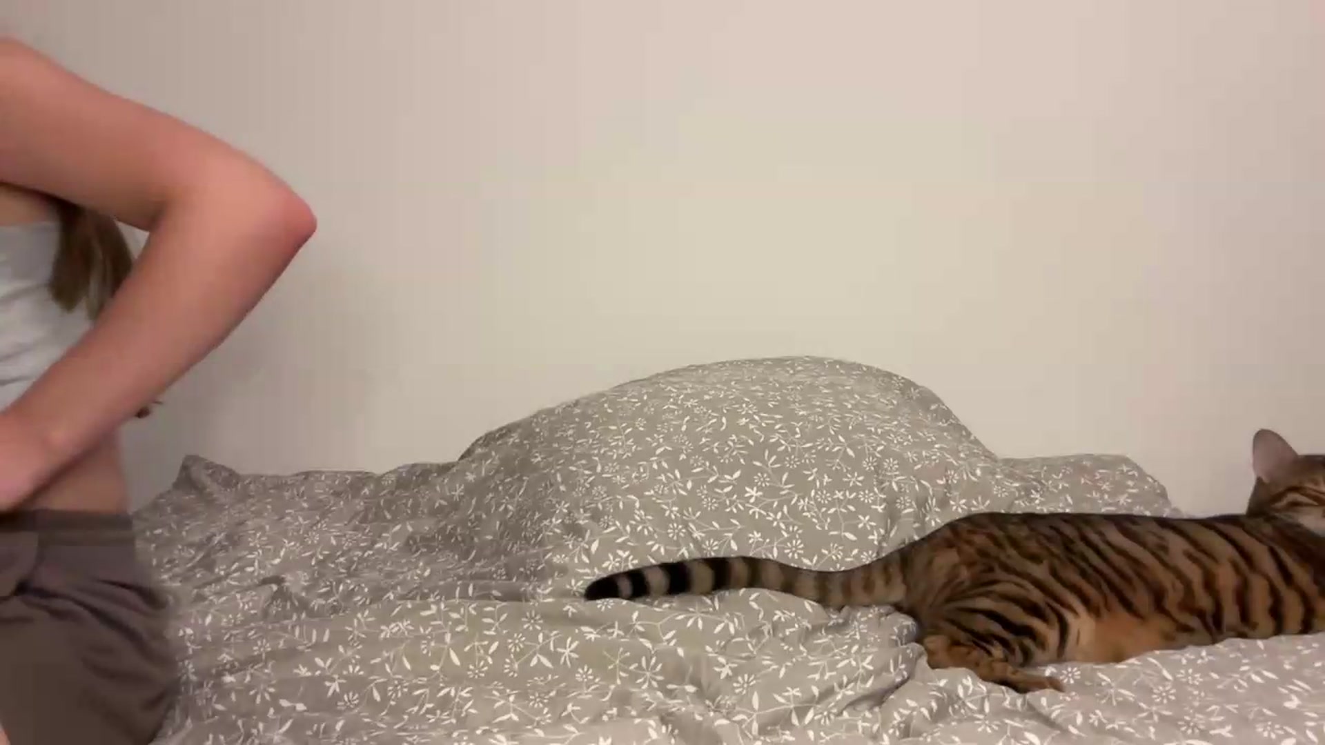 Gallery image thumbnail from Snake_lady's myfreecams stream on, 08/14/2026, 18:56 image 15 of 20
