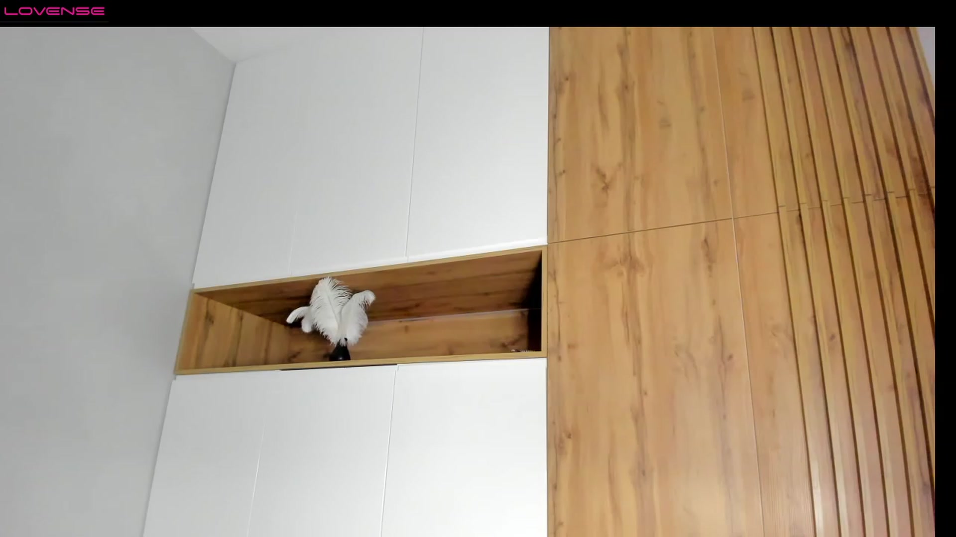 Gallery image thumbnail from SnowKate_'s myfreecams stream on, 12/18/2022, 20:31 image 9 of 20