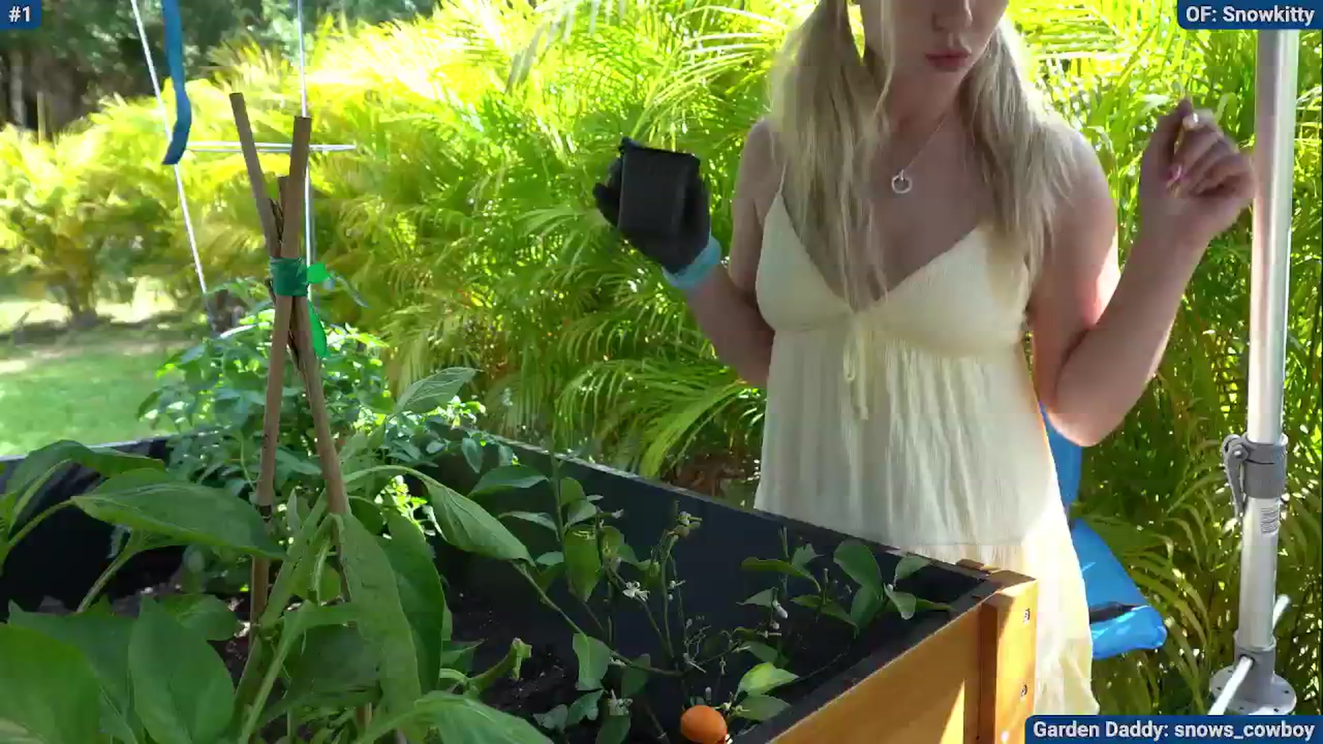 Gallery image thumbnail from Snowkitty's myfreecams stream on, 04/21/2024, 21:01 image 12 of 20